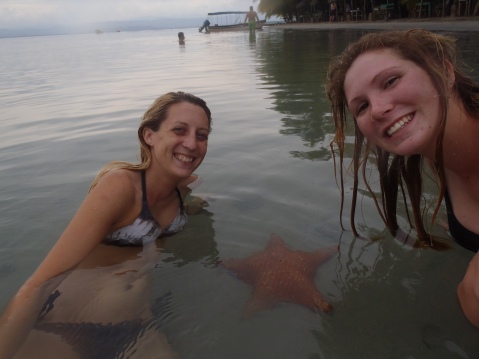 Starfish beach Bocas Del toro
