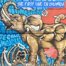 Comuno 13 Elephants street art